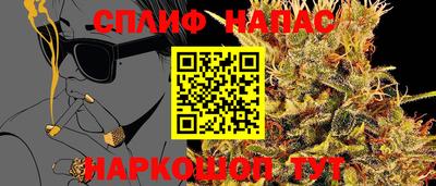 ГАЛЛЮЦИНОГЕННЫЕ ГРИБЫ Обь