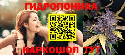 spice Обнинск