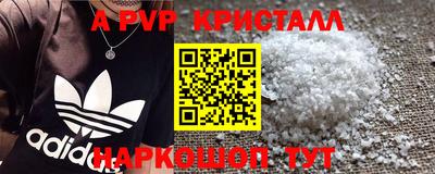 spice Обнинск
