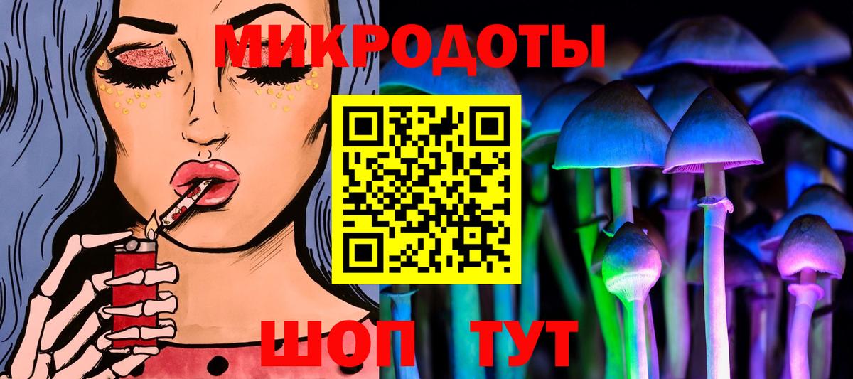 Псилоцибиновые грибы Psilocybe  Вход с VPN  Псилоцибиновые грибы мухоморы  наркота  Светлоград 